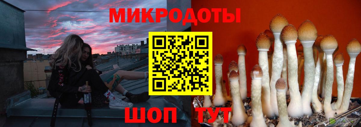 Егорьевск  Псилоцибиновые грибы MAGIC MUSHROOMS  Вход с VPN 